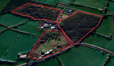 C. 17 acres & 2 Residential  Properties (Sold)