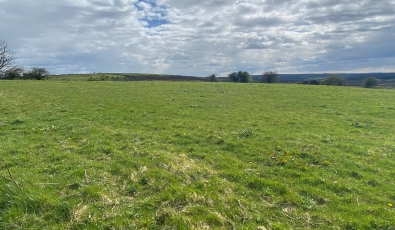 C. 25 acres of Agricultural Land (Sold)