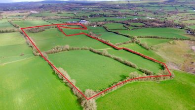 C. 25 acres of Agricultural Land (Sold By Online Auction)