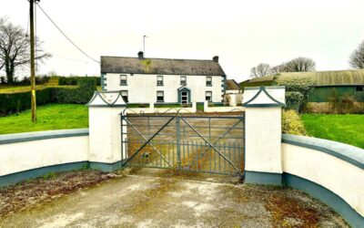 Raggettstown, Ballinakill, Co. Laois, R32HK10 (AMV: €550,000)