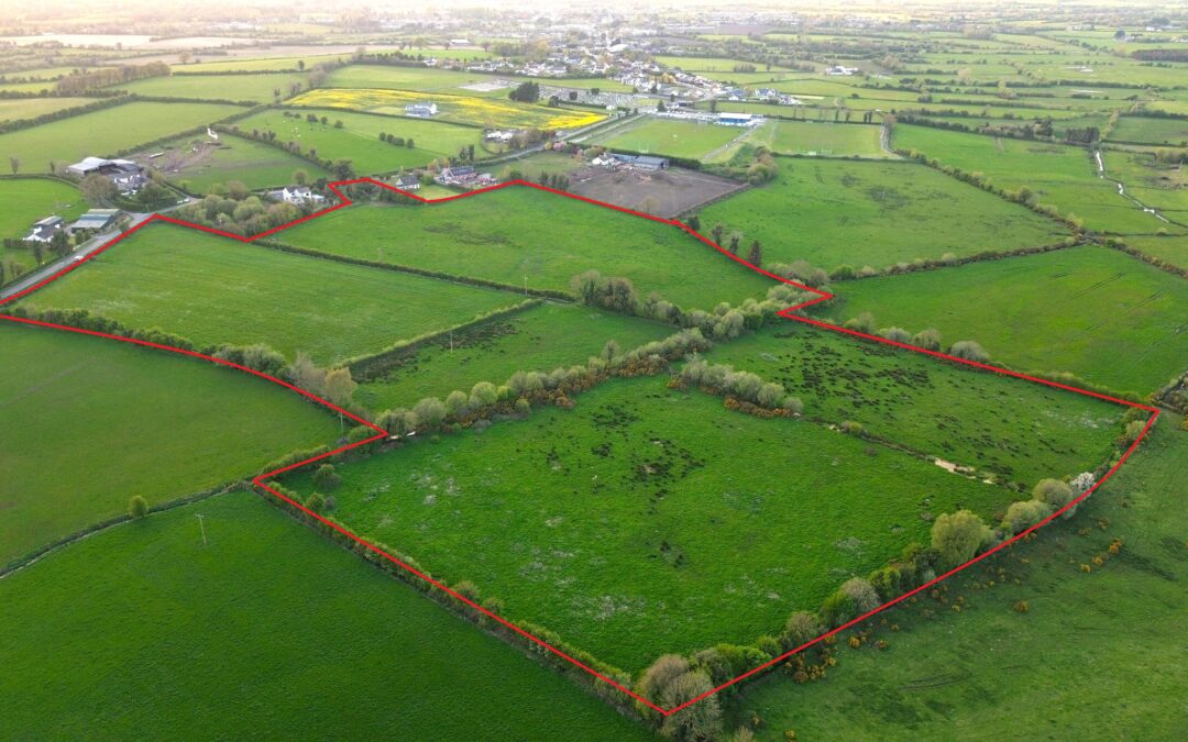 Acragar, Mountmellick, Co. Laois (€300,000)