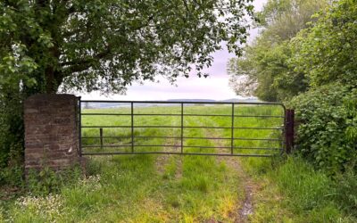 Circa 19acres Block of Land at Shanrath, Wolfhill, Co. Laois