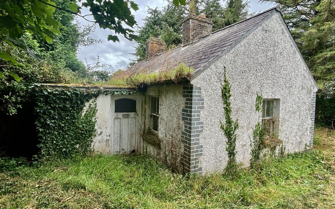 Disused Cottage on circa 1.1acres at Clopook, Stradbally, Co. Laois R32 W2A4