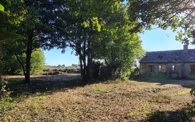 Old Disused Cottage on circa 1.15acres at Morette, Emo, Co. Laois