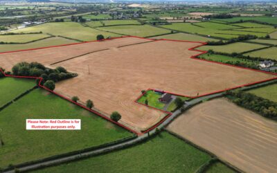 Circa 32.35acres of Agricultural Land at Morette, Emo, Co. Laois