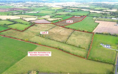 Circa 55acres of Agricultural Land at Vicarstown, Co. Laois