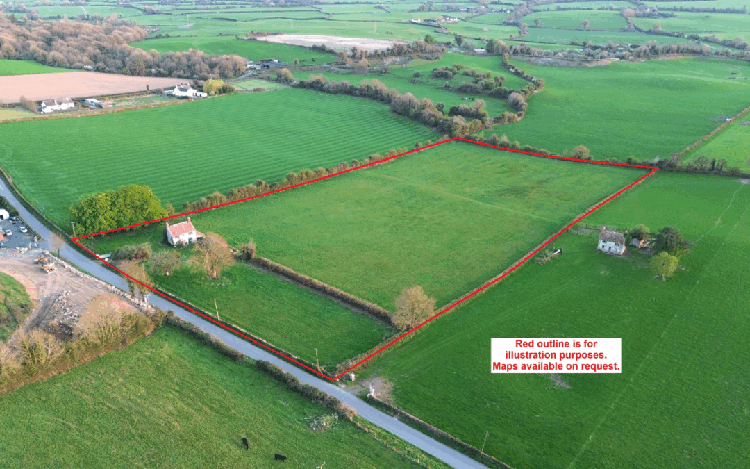 Circa 7.96 acres Agricultural land with old world 2 storey house at Guileen, Stradbally, Co. Laois