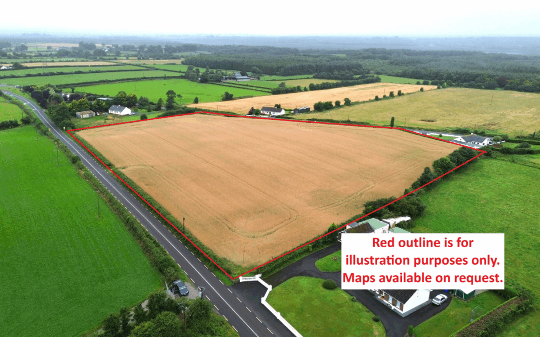Circa 8.4acres of Agricultural Land at Cashel Cross, Ballyroan, Co. Laois