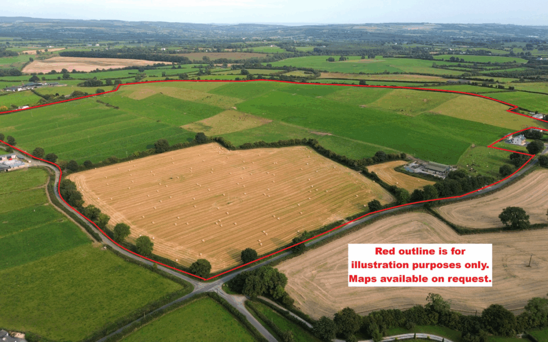 Circa 95 acre Farm Holding at Drumshellig, Ballyroan, Co. Laois