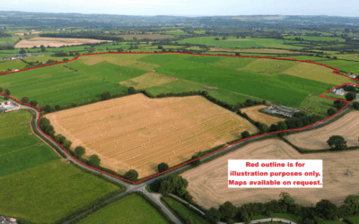 Circa 95 acre Farm Holding at Drumshellig, Ballyroan, Co. Laois