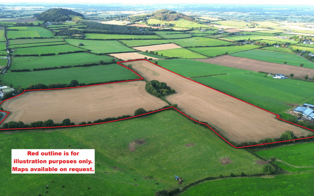 Circa 27 acres of Prime Agricultural Land at Ballymaddock, Stradbally, Co. Laois
