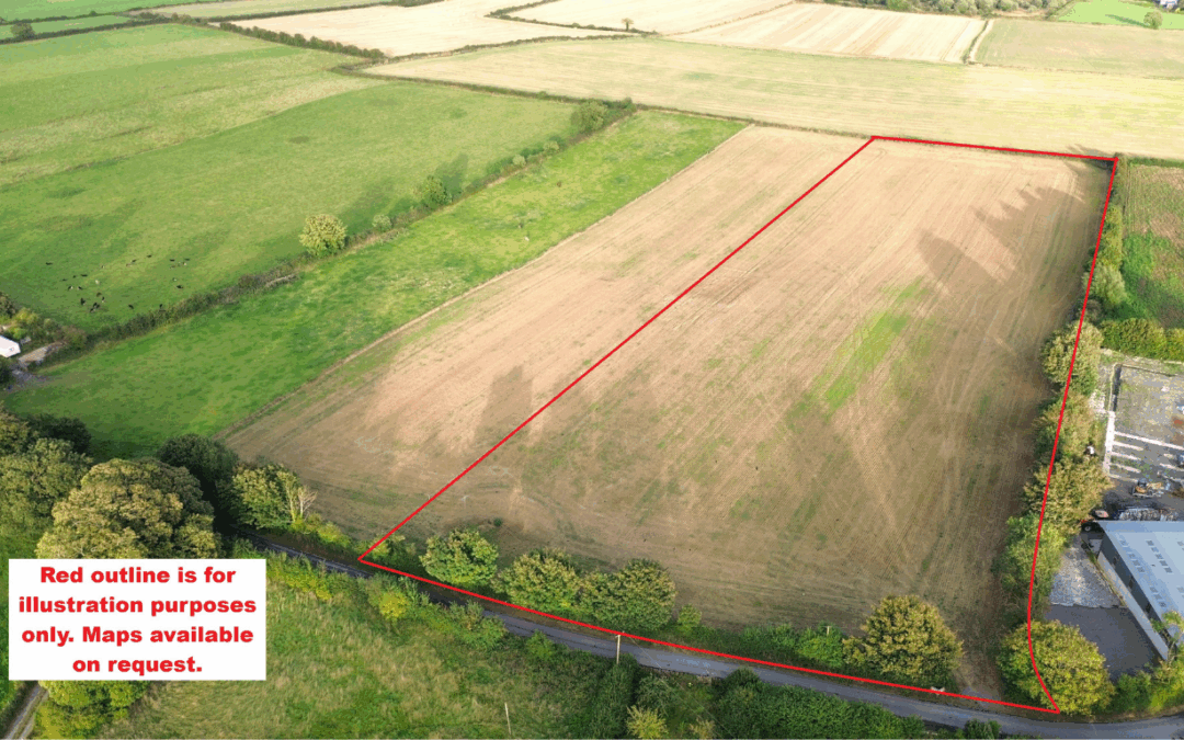 Circa 7 acres of Prime Agricultural Land at Park, Stradbally, Co. Laois