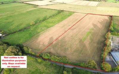 Circa 7 acres of Prime Agricultural Land at Park, Stradbally, Co. Laois