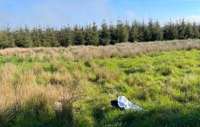 Circa 1 acre site at Knocklaide, Tiamhoe, Co. Laois