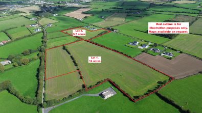 circa 19.7 Acres of Prime Agricultural Lands at Ballinlough, Ballyroan, Co. Laois.