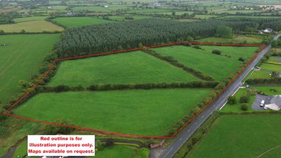 Circa 15 acres of Agricultural Land at Doonane, Crettyard, Co. Laois
