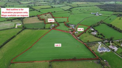 Circa 26 acres Residential Farm Holding at Kilkeeran, Portarlington, Co. Offaly